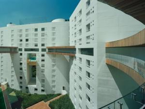 arbolada mexico proyecto inmobiliario argo