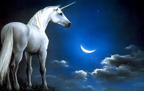 argo estrategia inmobiliaria promocion unicornio