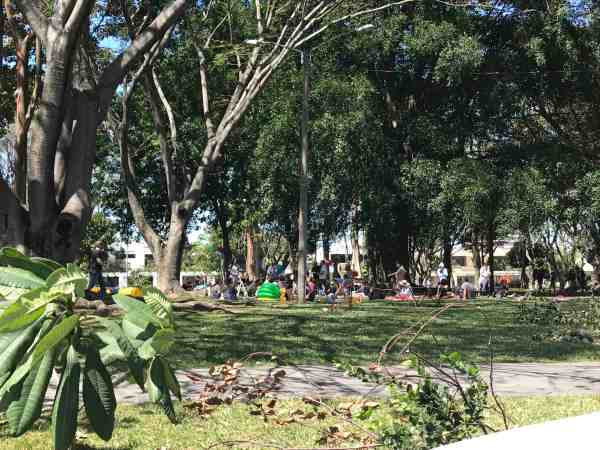 Parque Cafe TriBca Tribeca Tribeka Rohrmoser apartamentos sabana venta